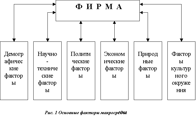 Внешняя среда маркетинга Внешняя среда маркетинга