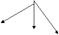   , 